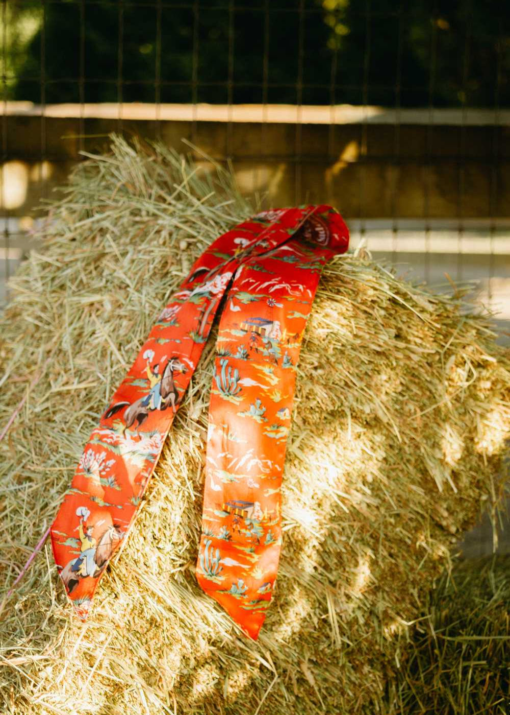 Lasso | Cowboy Silk Tie, Street_and_Saddle, local_plus_size_inclusive_ethical