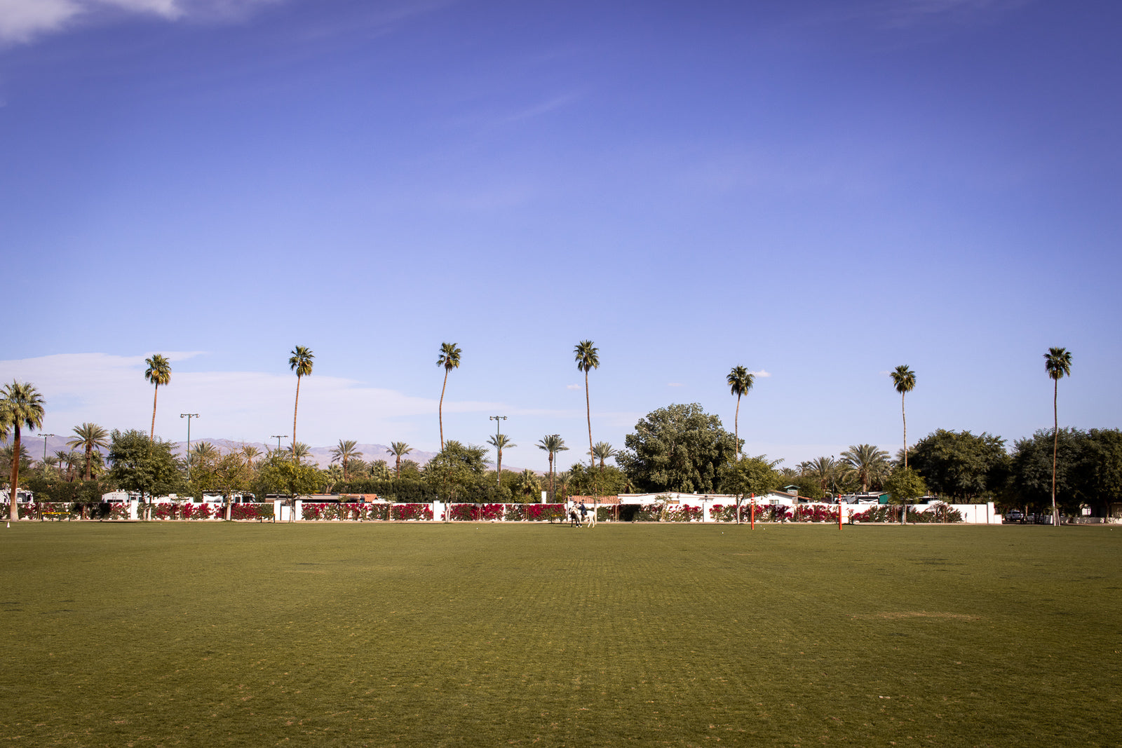 Polo Adventures at Coachella