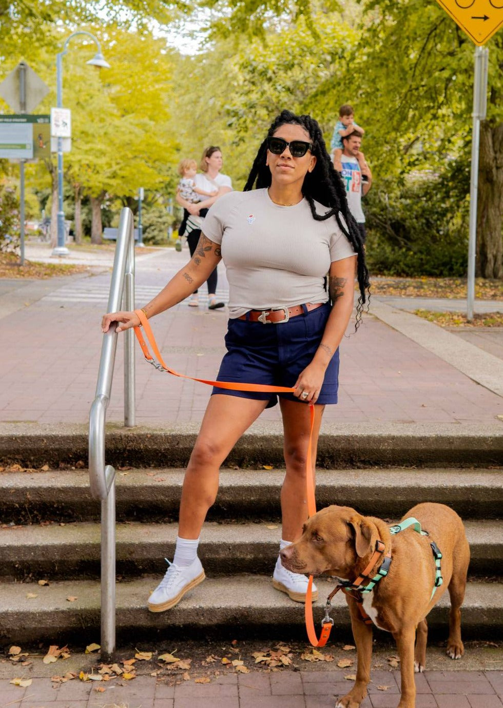 Pegasus | Stretch Twill Cotton Shorts, Street_and_Saddle, local_plus_size_inclusive_ethical